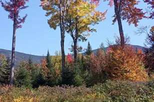 110 Slide Brook Rd, Easton, NH 03580 - Photo 55