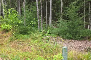 26 Judges Rd, Thornton, NH 03285 - Photo 39