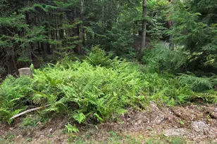 26 Judges Rd, Thornton, NH 03285 - Photo 3