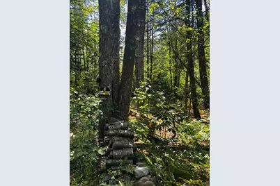 Tbd Birch Hill Road, New Durham, NH 03855 - Photo 7