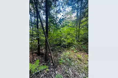 Tbd Birch Hill Road, New Durham, NH 03855 - Photo 5