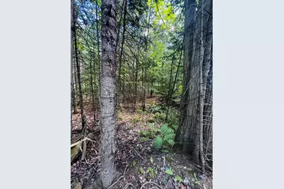 Tbd Birch Hill Road, New Durham, NH 03855 - Photo 3