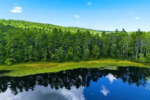1301 Bound Tree Rd, Hopkinton, NH 03229 - Photo 59