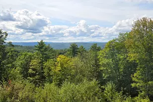 43 Cook Hill Rd, Alstead, NH 03602 - Photo 3