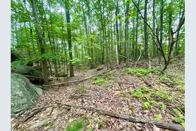 55-10 Longwood Drive, Greenfield, NH 03047 - Photo 7