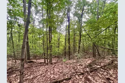 55-10 Longwood Drive, Greenfield, NH 03047 - Photo 11