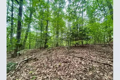 55-10 Longwood Drive, Greenfield, NH 03047 - Photo 9