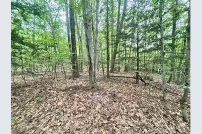 55-10 Longwood Drive, Greenfield, NH 03047 - Photo 1