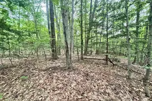 55-10 Longwood Dr, Greenfield, NH 03047 - Photo 1