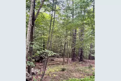 55-10 Longwood Drive, Greenfield, NH 03047 - Photo 3