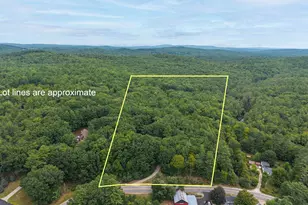 616 Tyler Rd, Webster, NH 03303 - Photo 3