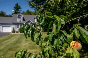 195 Ridgetop Ln, Henniker, NH 03242 - Photo 29