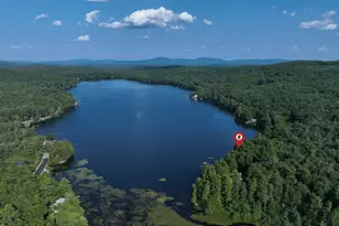 55 Skatutakee Rd, Harrisville, NH 03450 - Photo 39