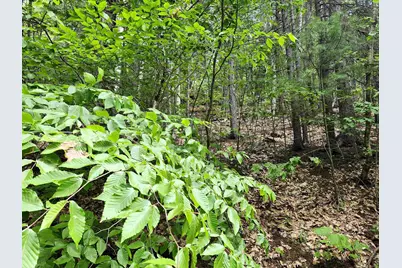 05.12.08 Isaax Fox Drive, Campton, NH 03223 - Photo 1