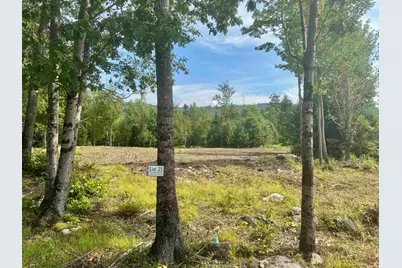 0 Dodge Pond Lane #21, Lempster, NH 03605 - Photo 5