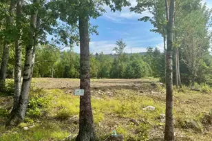0 Dodge Pond Ln, Lempster, NH 03605 - Photo 5