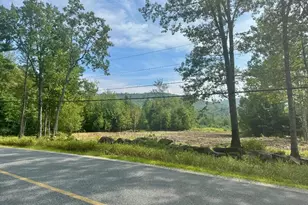0 Dodge Pond Ln, Lempster, NH 03605 - Photo 3