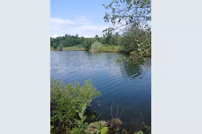 461 Bog Road, Enfield, NH 03748 - Photo 3