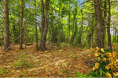 00 Dow Road, Meredith, NH 03253 - Photo 13