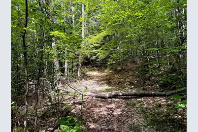 Poor Farm Road, Alexandria, NH 03222 - Photo 13