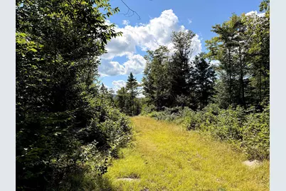 Poor Farm Road, Alexandria, NH 03222 - Photo 37