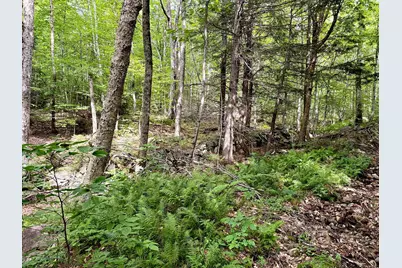 Poor Farm Road, Alexandria, NH 03222 - Photo 7