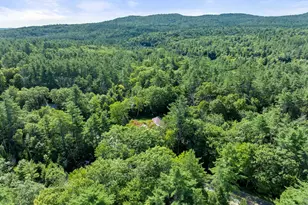 289 Murray Hill Rd, Hill, NH 03243 - Photo 51