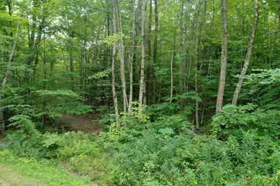 0 Guide Board Hill Road, Webster, NH 03303 - Photo 3