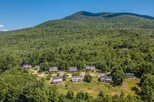 38-2 Merriman Forest Rd, Bartlett, NH 03812 - Photo 41