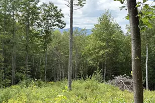 Perkins Hill Rd, Alexandria, NH 03222 - Photo 1