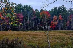 Map 257-Lot 32 Route 11, New Durham, NH 03855 - Photo 1
