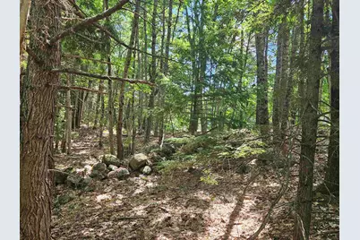 Map 257-Lot 32 Route 11, New Durham, NH 03855 - Photo 3