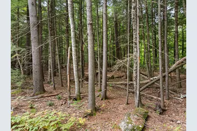 32 Forest Pond Road, New Hampton, NH 03256 - Photo 3