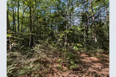 Map 41 Lot 25 Jewett Road, Weare, NH 03281 - Photo 3