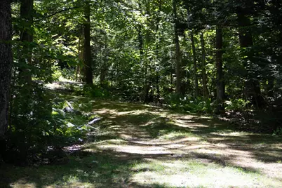 81 Buzzell Cove Road, Moultonborough, NH 03254 - Photo 5