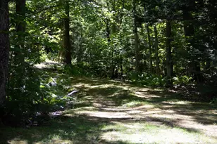81 Buzzell Cove Rd, Moultonborough, NH 03254 - Photo 5