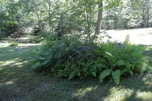 321 Hackleboro Rd, Canterbury, NH 03224 - Photo 45