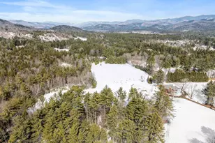 115 Adams Farm Rd, Thornton, NH 03285 - Photo 41