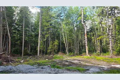 M10 L41 Taylor Circle, Washington, NH 03280 - Photo 5