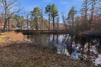 183 Waterloo Street, Warner, NH 03278 - Photo 45