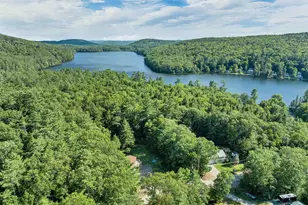 34 Hollings Dr, Webster, NH 03303 - Photo 45