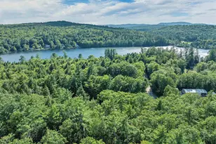 34 Hollings Dr, Webster, NH 03303 - Photo 49