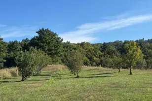 203 Main St, Grafton, NH 03240 - Photo 55