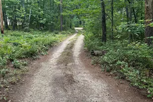 436 Pequawket Trail, Freedom, NH 03836 - Photo 57
