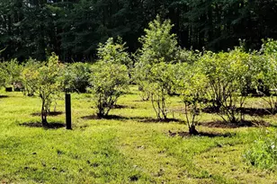 226 Amesbury Rd, Kensington, NH 03833 - Photo 35