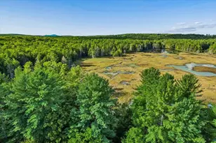 56 Old Fort Ln, Dunbarton, NH 03046 - Photo 9