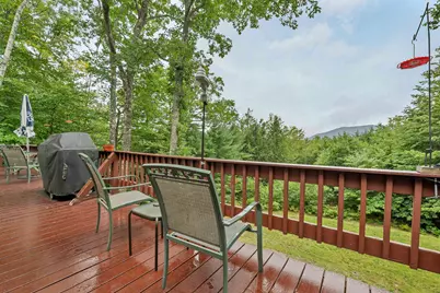 51 Alpendorf Loop, Bartlett, NH 03845 - Photo 41