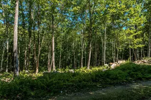 Lot 18 Ridge Rd, Ashland, NH 03217 - Photo 9