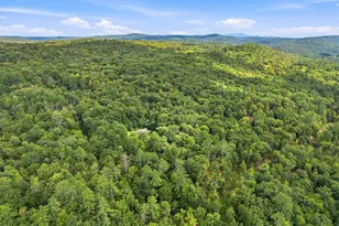 79 S Woods Rd, Gilsum, NH 03448 - Photo 11