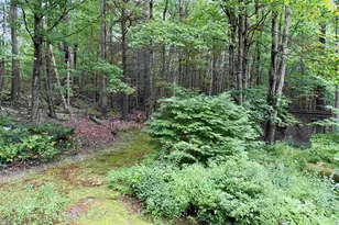 159 Joslin Rd, Surry, NH 03431 - Photo 31